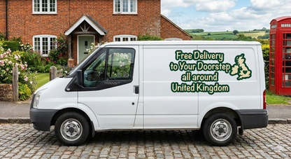 Ching's Soup Combo Pack - 60pcs (Tomato, Sweet Corn, Hot N Sour, Manchow)